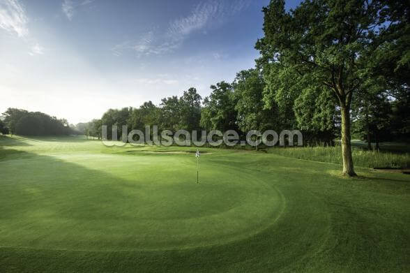 Tranquil Dawn Golf Wall Mural Wallsauce Us