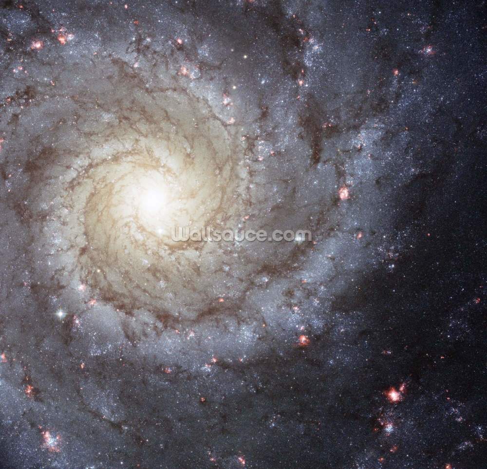 Spiral Galaxy M74 Muurschildering achtergronden Spiral Galaxy M74 Muurschildering achtergronden