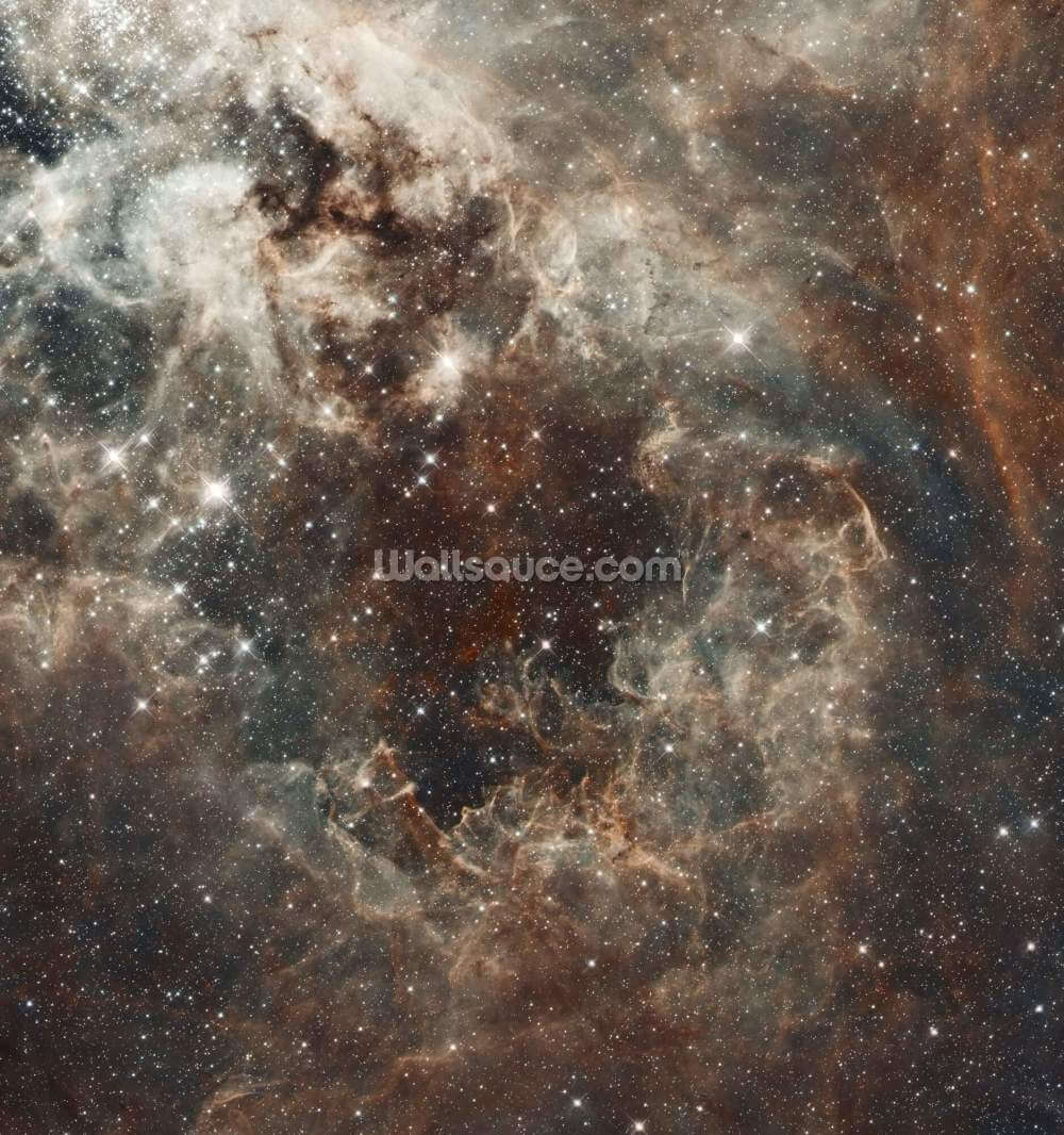 Tarantula Nebula Large Magellanic Cloud Wallpaper Wallsauce Us Free tarantula nebula wallpapers and tarantula nebula backgrounds for your computer desktop. tarantula nebula large magellanic cloud wallpaper wallsauce us