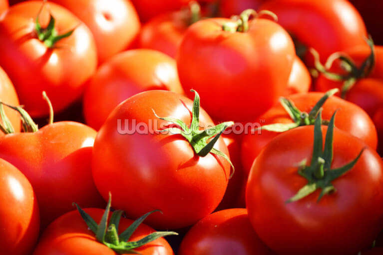 Tomatoes Tomatoes