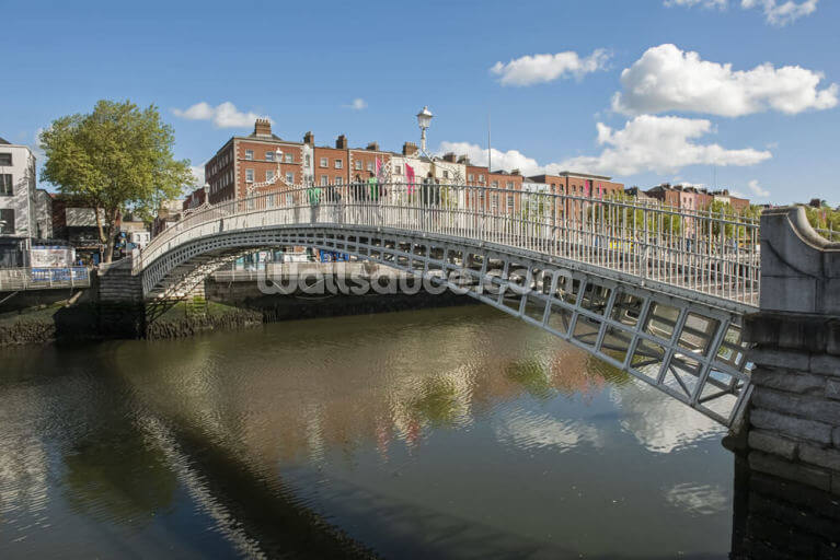 Hapenny Bridge in Dublin Hapenny Bridge in Dublin
