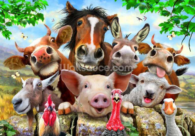 Farm Selfie Farm Selfie