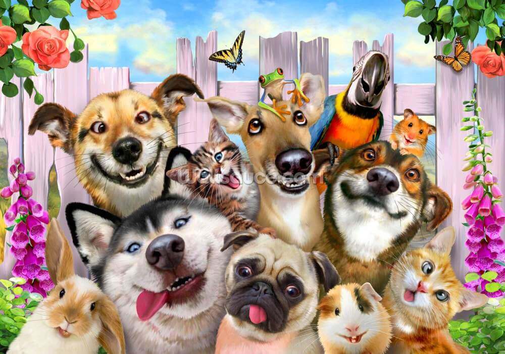 Pet Selfie Wall Mural Wallsauce Us Find over 100+ of the best free dog selfie images. pet selfie wall mural wallsauce us