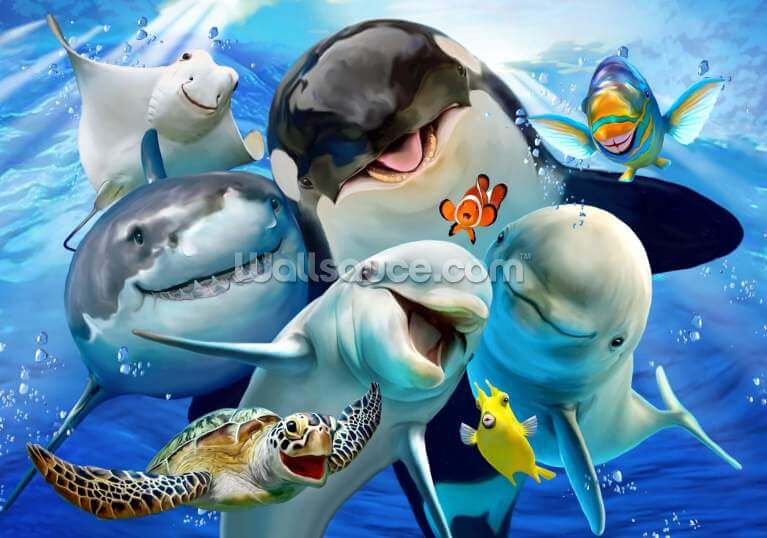 Fish Wallpaper & Sea Life Wall Murals | Wallsauce US Fish Wallpaper & Sea Life Wall Murals | Wallsauce US