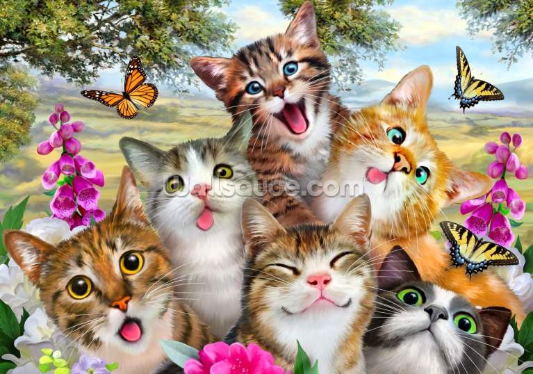 Cat Wallpaper & Wall Murals | Wallsauce AU Cat Wallpaper & Wall Murals | Wallsauce AU