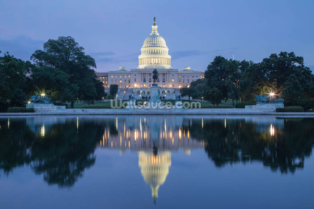 Washington D C Usa Capitol Building Mural Wallsauce Us