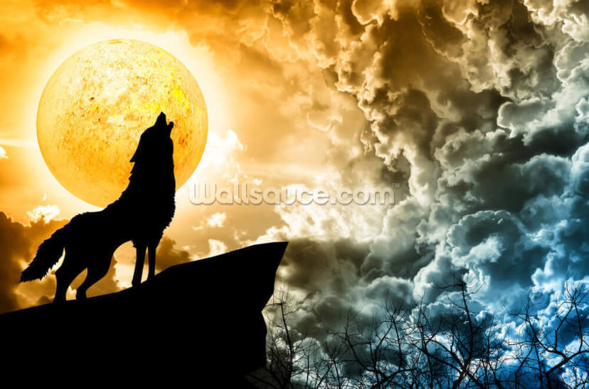 Wolf Howling in Silhouette Wolf Howling in Silhouette