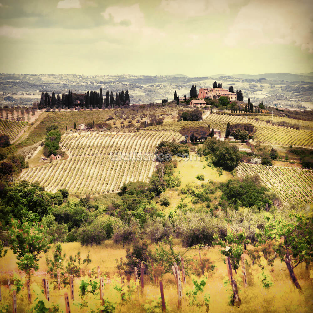 Vintage Tuscany Wall Mural Wallsauce US