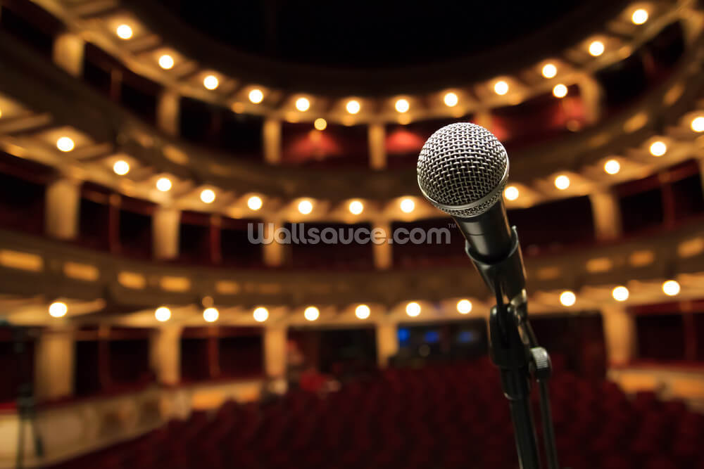 microphone in concert hall wallpaper mural wallsauce us