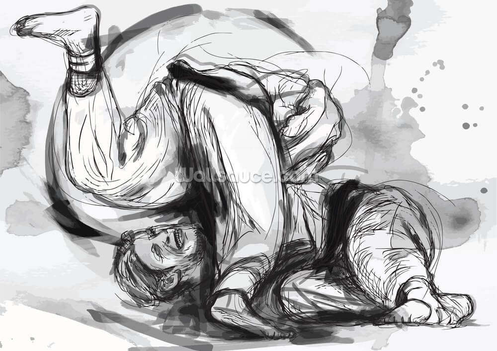 judo randori wall mural wallsauce us