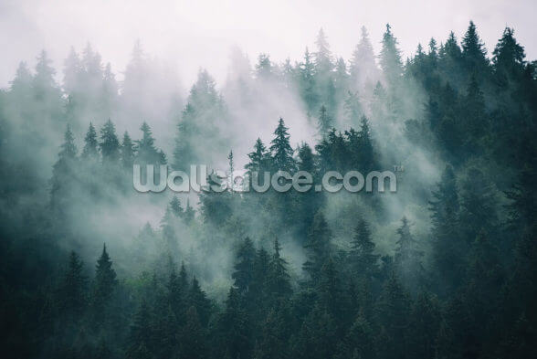 Smokey Misted Forest Mural Wallsauce Us