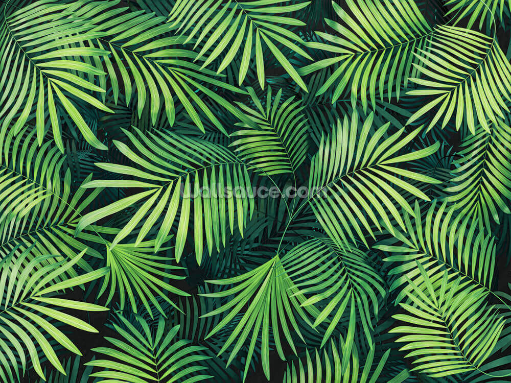 Leaves Of Palm Tree Wallpaper Wallsauce Uk