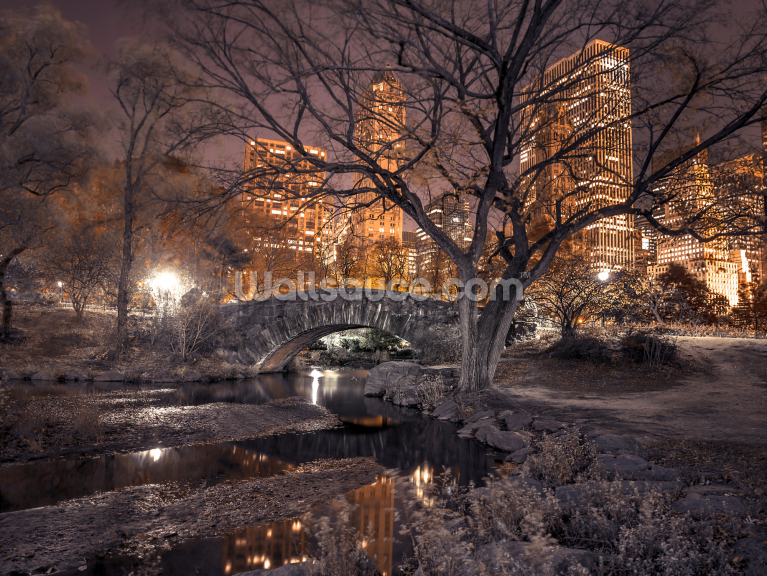 Cental Park at Night Cental Park at Night