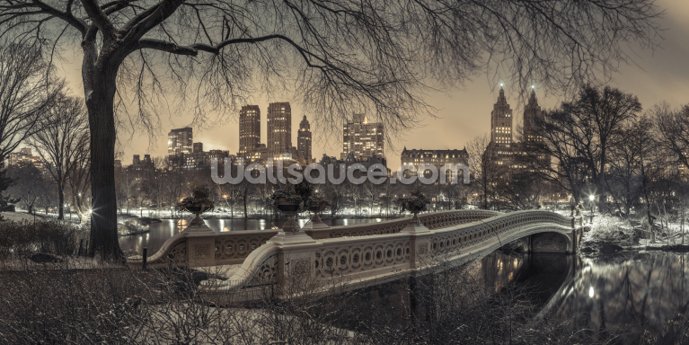 Central Park with Manhattan Moody Lights Central Park with Manhattan Moody Lights
