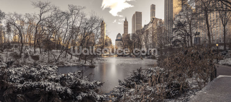 Winter Dawn in Central Park Winter Dawn in Central Park