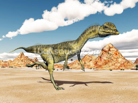 Dinosaur Dilophosaurus Wallpaper Wallsauce Ae Choose your favorite dilophosaurus designs and purchase them as wall art, home decor, phone cases, tote bags, and. dinosaur dilophosaurus