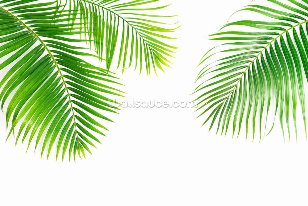 Green Palm Leaves Wallpaper Wallsauce Uk