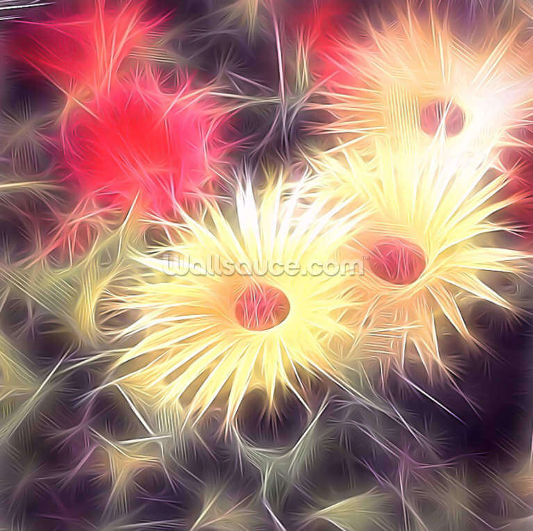 Light Daisy Gang Light Daisy Gang