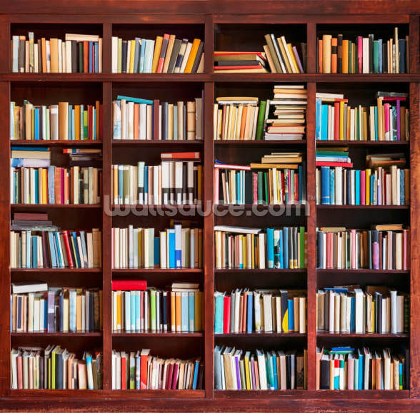 Bookcase Wallpaper Wallsauce UK