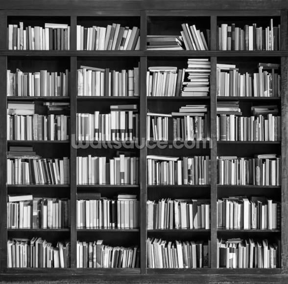 Bookcase Wallpaper Wallsauce UK