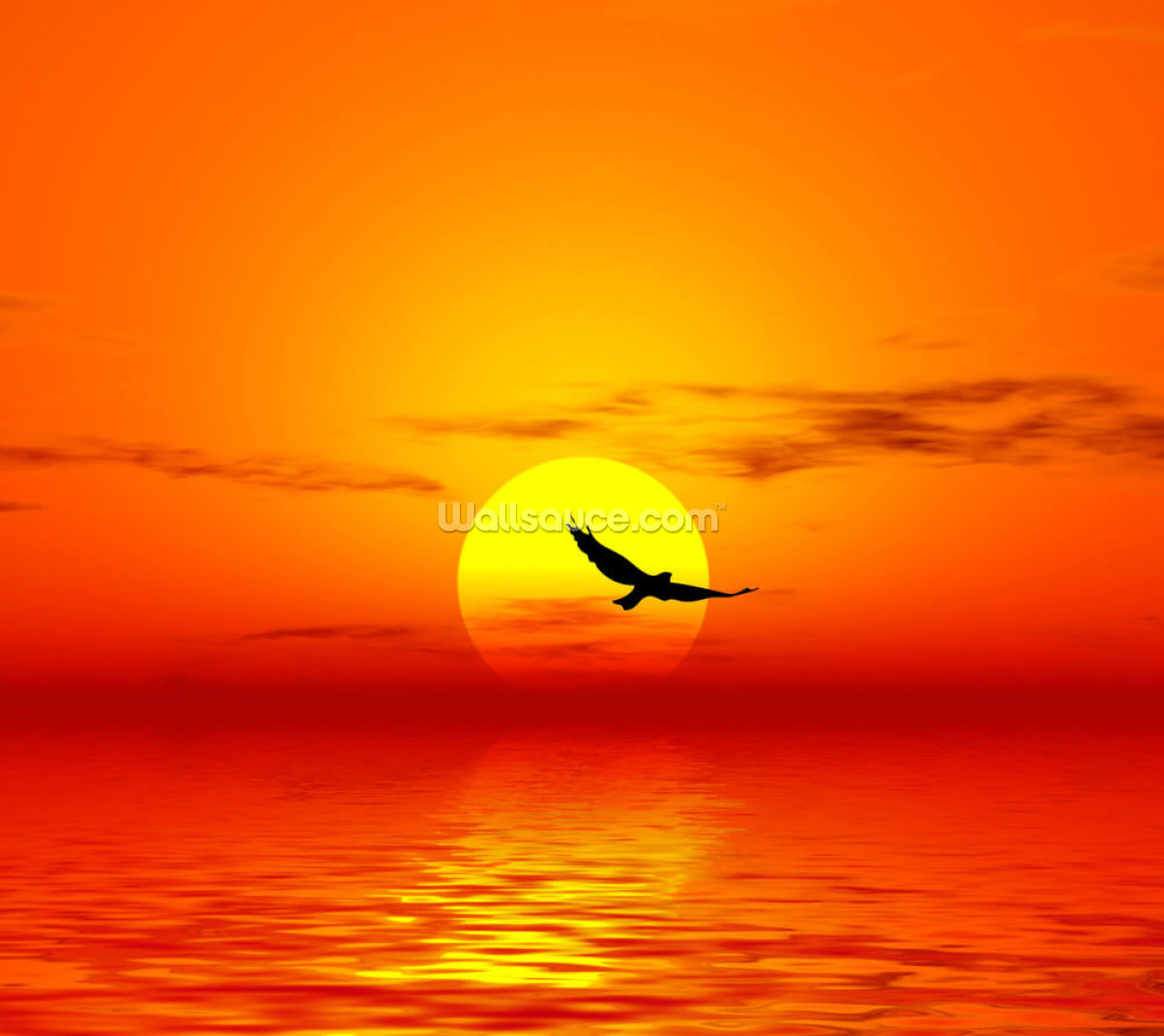 red-sunset-bird