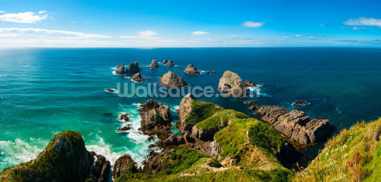 Vue de Nugget Point Vue de Nugget Point