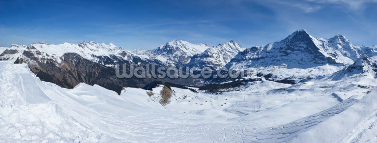Swiss Alps Ski Swiss Alps Ski