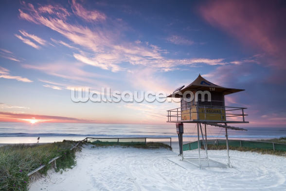 gold coast lifeguard hut wallpaper wallsauce us