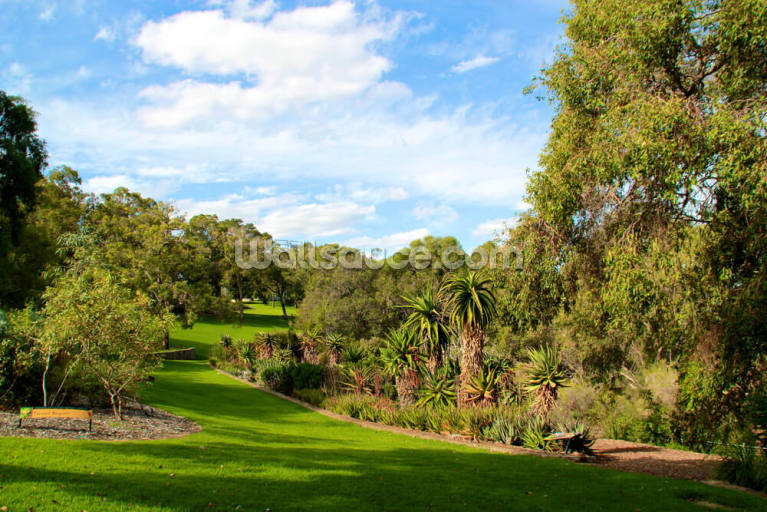 Kings Park (Perth) Kings Park (Perth)