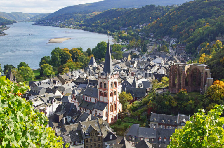 Rhine Valley Rhine Valley