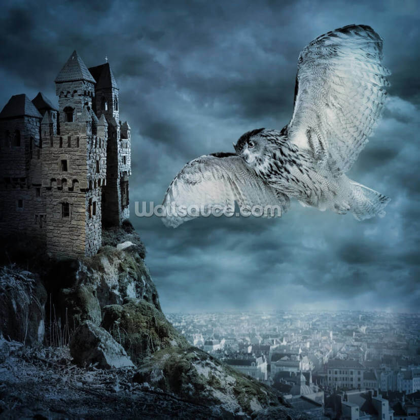 Flying Owl Bird Flying Owl Bird