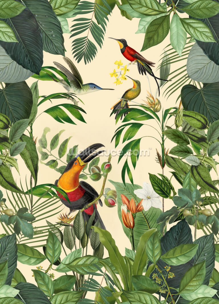 Tropical Birds in a Jungle Tropical Birds in a Jungle