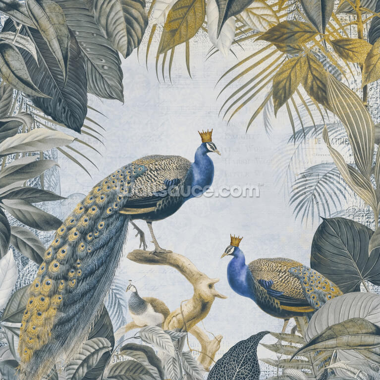 Fantastic Peacock Kings Fantastic Peacock Kings