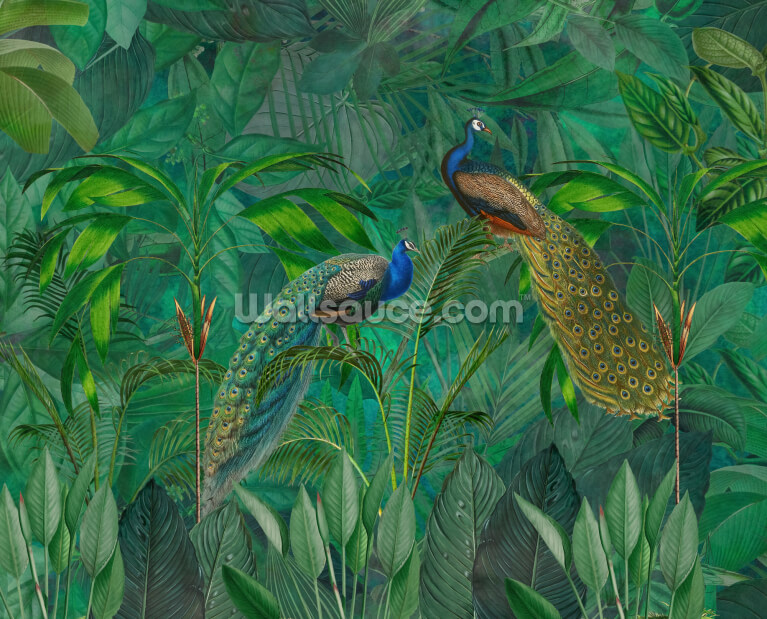 Peacock Paradise Jungle Peacock Paradise Jungle