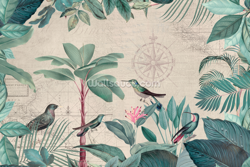 Tropische Reisevögel 2 Wandbilder von Andrea Haase | Wallsauce DE