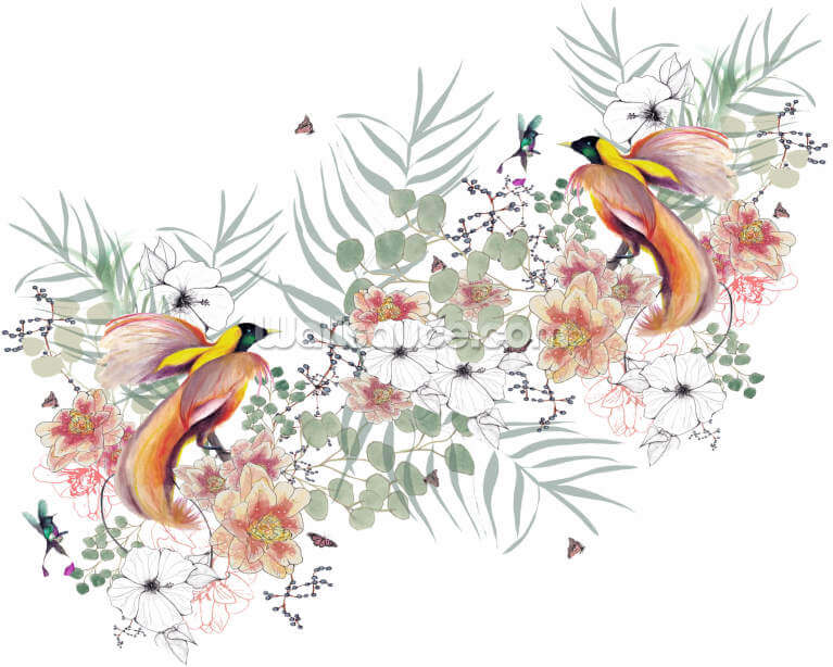 Bird of Paradise Bird of Paradise