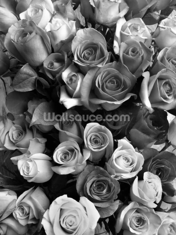 Roses Wallpaper | Wallsauce AU