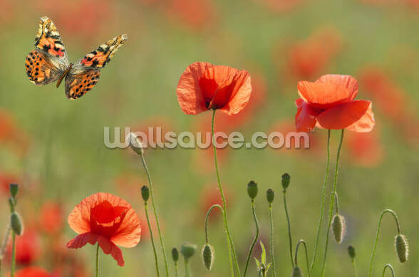 Poppies and Butterflies Wallpaper | Wallsauce UK
