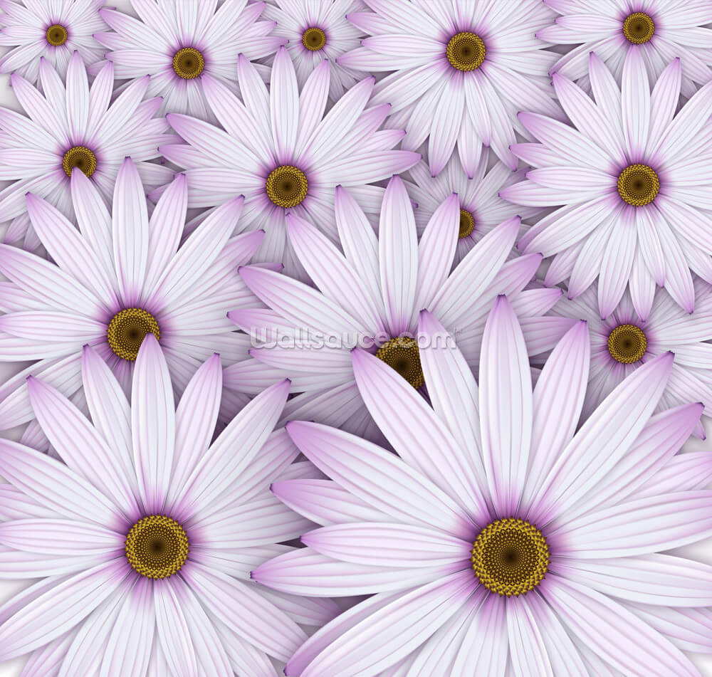 field of purple daisies wallpaper wallsauce us