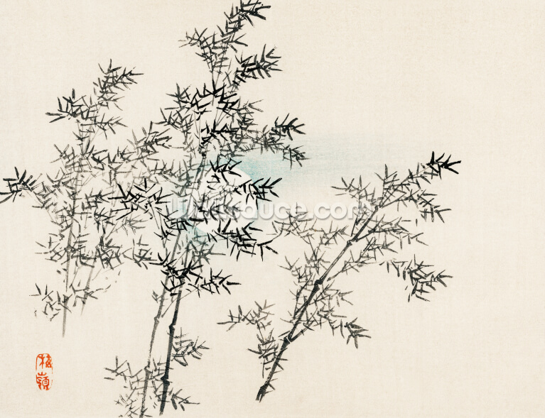 Bamboo Bamboo