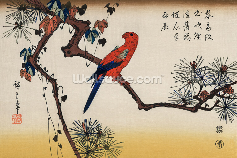Macaw on Pine Branch Macaw on Pine Branch