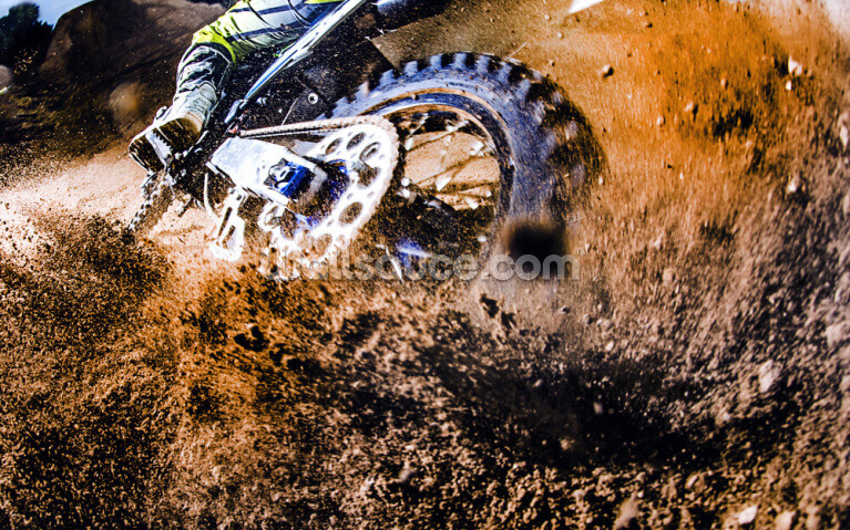 In the Dirt In the Dirt