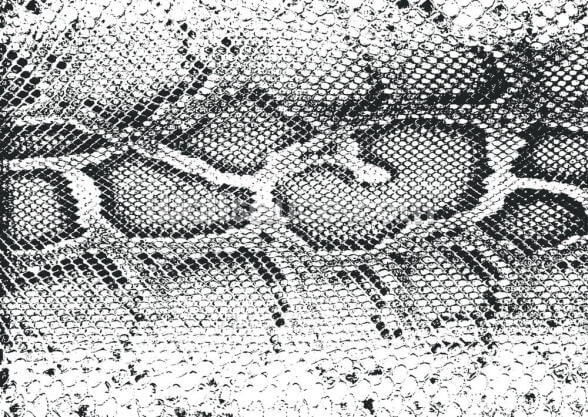 black and white snake print