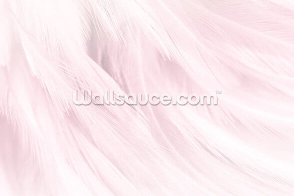 Light Pink Feather Print Mural Wallsauce Uk
