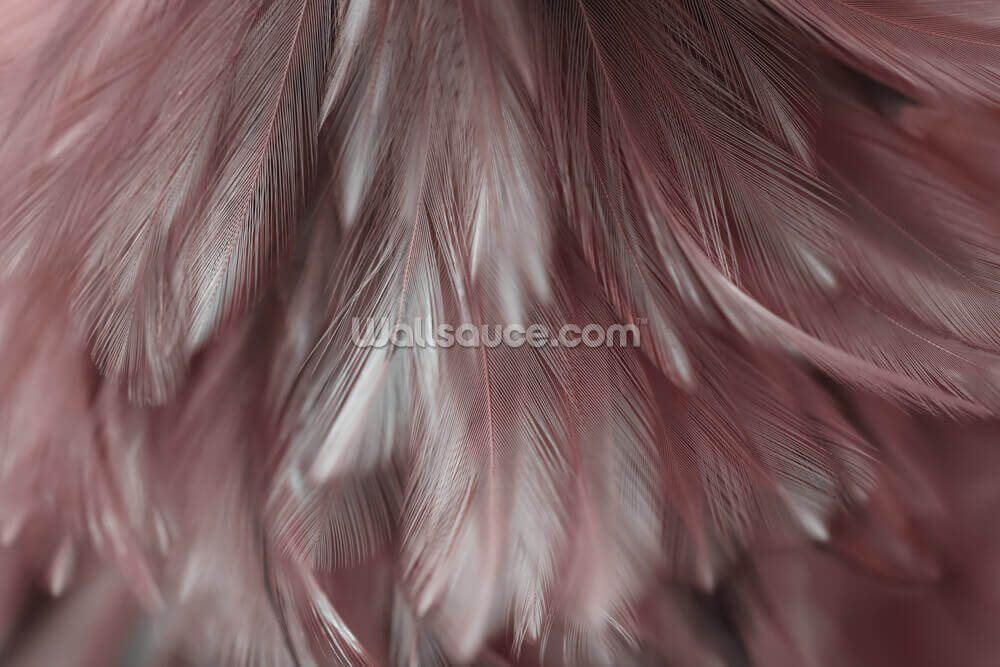 ash pink feather mural wallsauce us