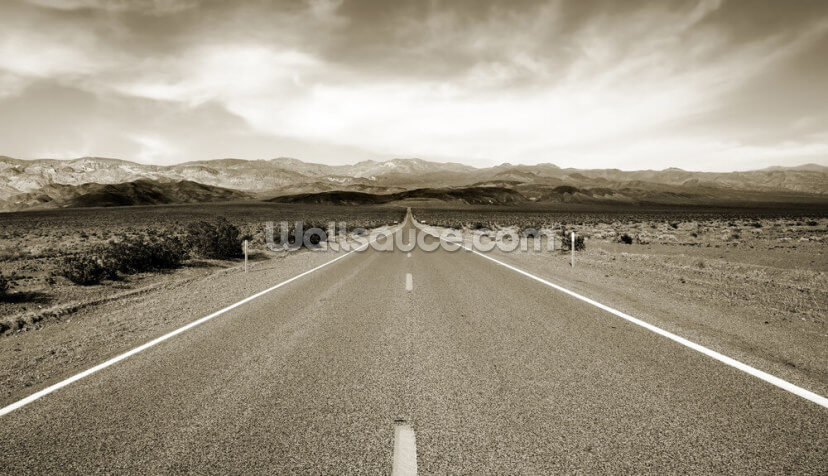 Empty Californian Highway in the Desert