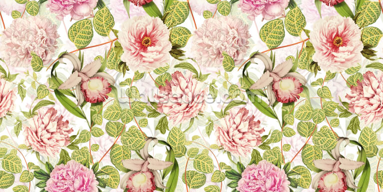 Pastel Pink Dreams Pastel Pink Dreams