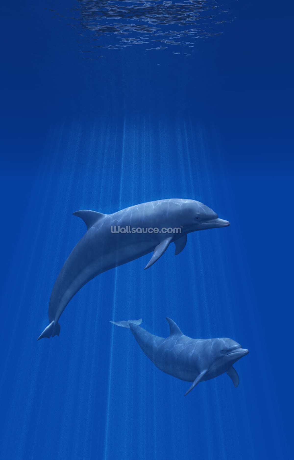 delfiner-undersiske