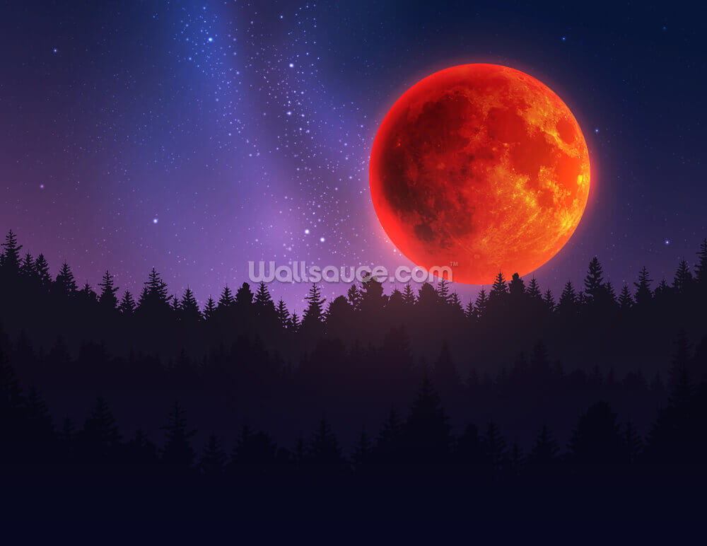 Featured image of post Full Moon Forest Wallpaper : Here you can find the best fantasy moon wallpapers uploaded by our community.