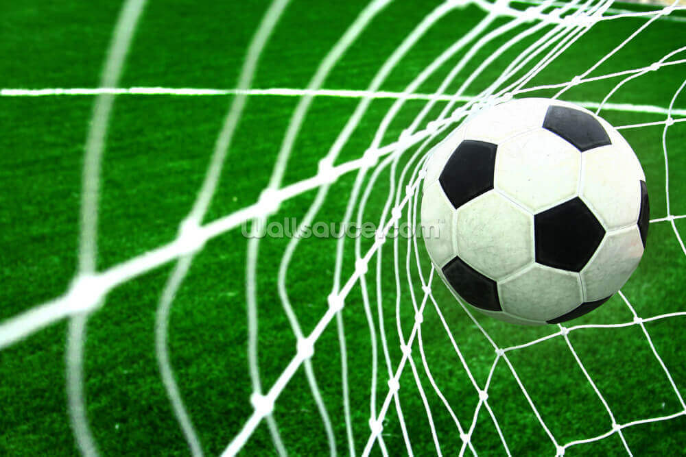 Soccer Ball Hits The Net Wallpaper Mural Wallsauce Us